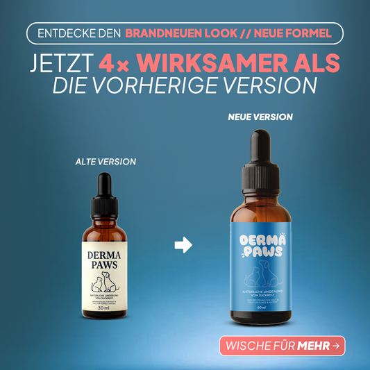 DermaPaws – Von Tierärzten empfohlene Tropfen zur Unterstützung bei Darmfunktionsstörungen &  Linderung von Juckreiz